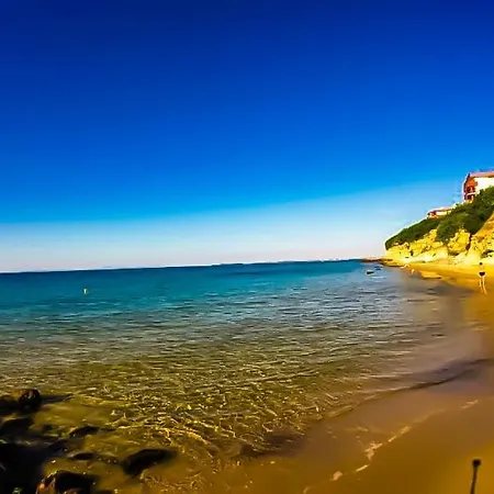 William's - Fifth Amazing Sveti Vlas