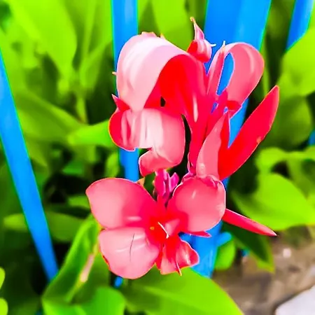 Appartement William's - Fifth Amazing