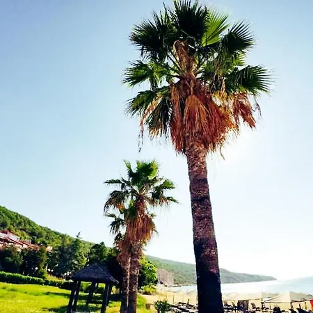 William's - Fifth Amazing Appartement Sveti Vlas