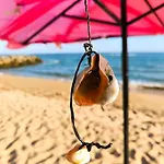 Appartamento William's - Fifth Amazing Sveti Vlas