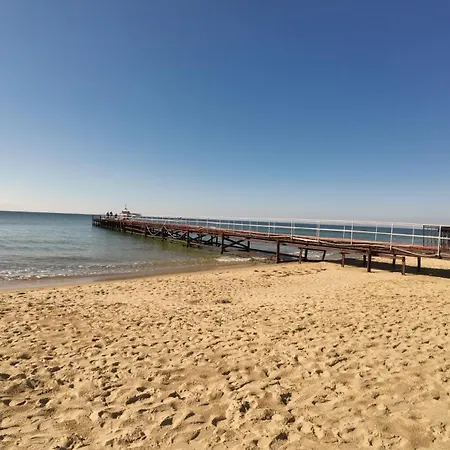 William's - Fifth Amazing