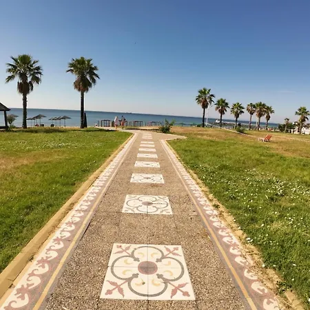 William's - Fifth Amazing *