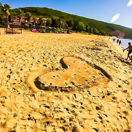 William's - Fifth Amazing Свети-Влас