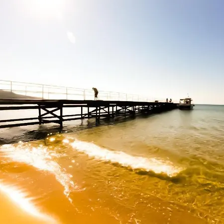 William's - Fifth Amazing Апартаменты *