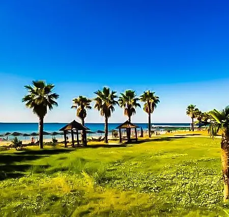 William's - Fifth Amazing * סבטי ולאס