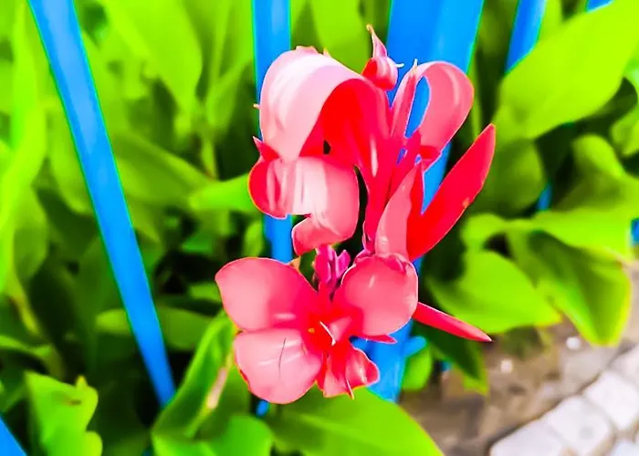 Апартамент William's - Fifth Amazing