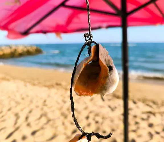 Апартамент William's - Fifth Amazing Свети Влас